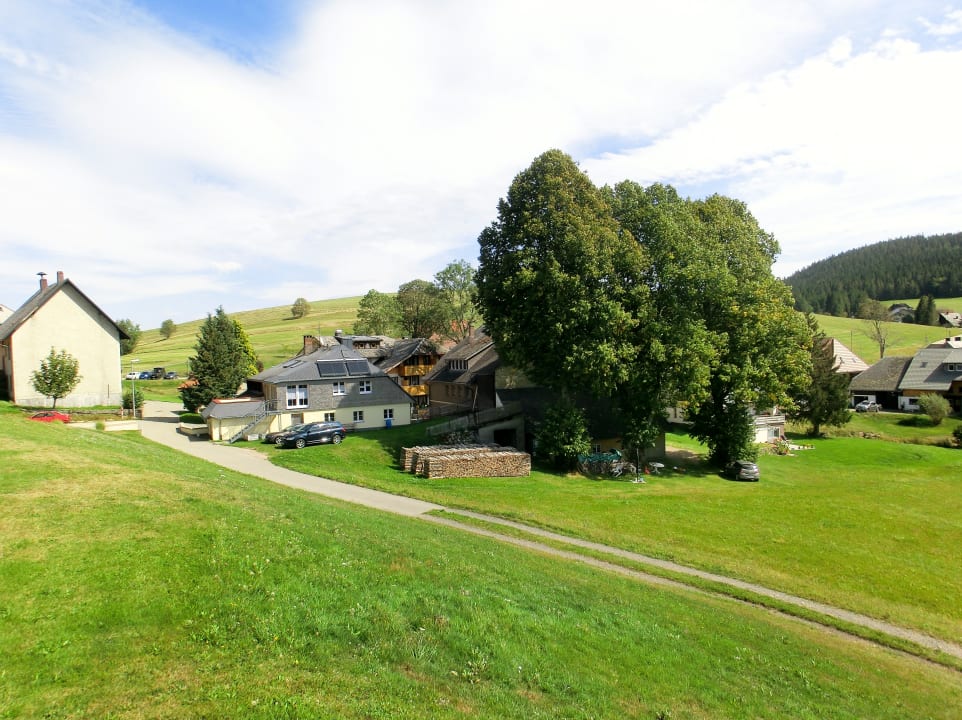 Ausblick derWaldfrieden naturparkhotel