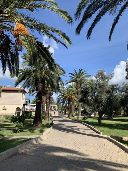 Gartenanlage Club Resort Atlantis