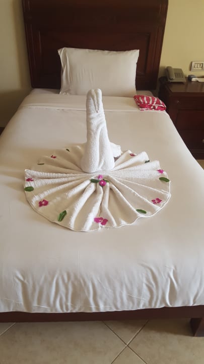 Zimmer Imperial Shams Abu Soma