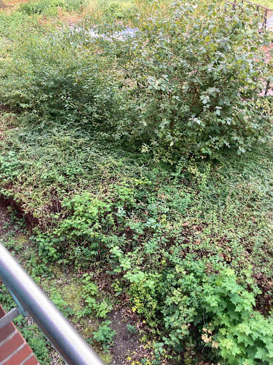 Außenansicht Best Western Parkhotel Brehna - Halle