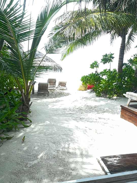 Strand OZEN LIFE MAADHOO