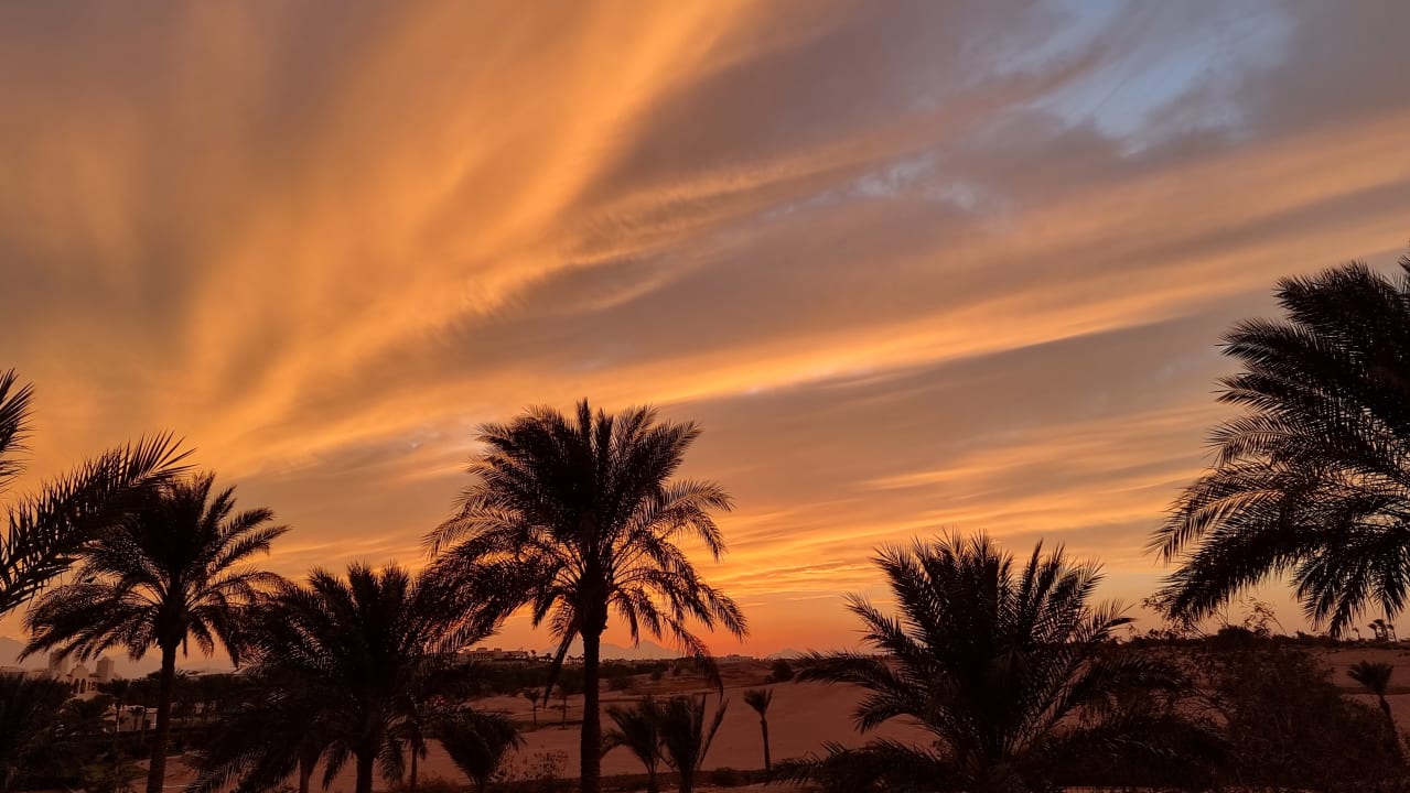 Ausblick Jaz Makadi Saraya Resort