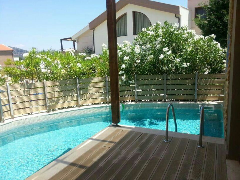 Terassen Pool Alexandra Golden Boutique - Adults only