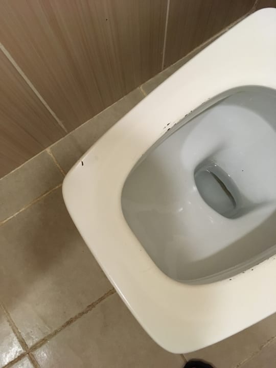 Zimmer Sirenis Tropical Varadero