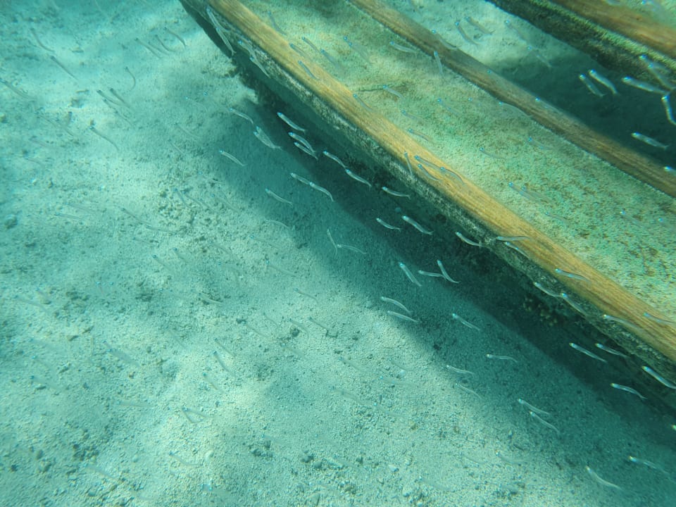 Sport & Freizeit Tropitel Sahl Hasheesh