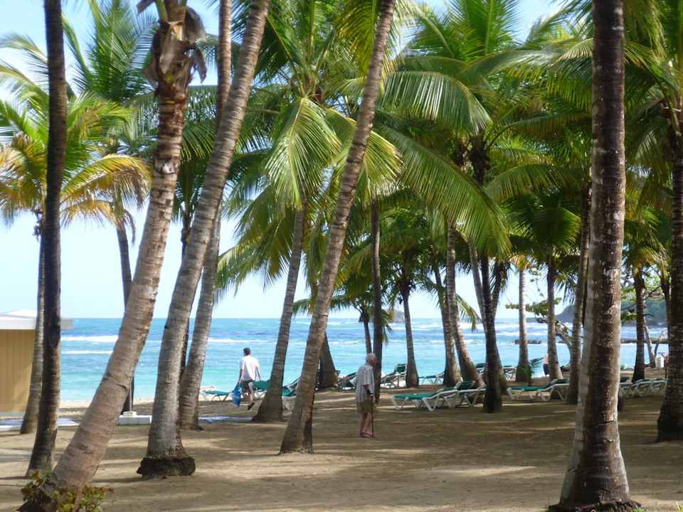 Strand Playabachata Hotel