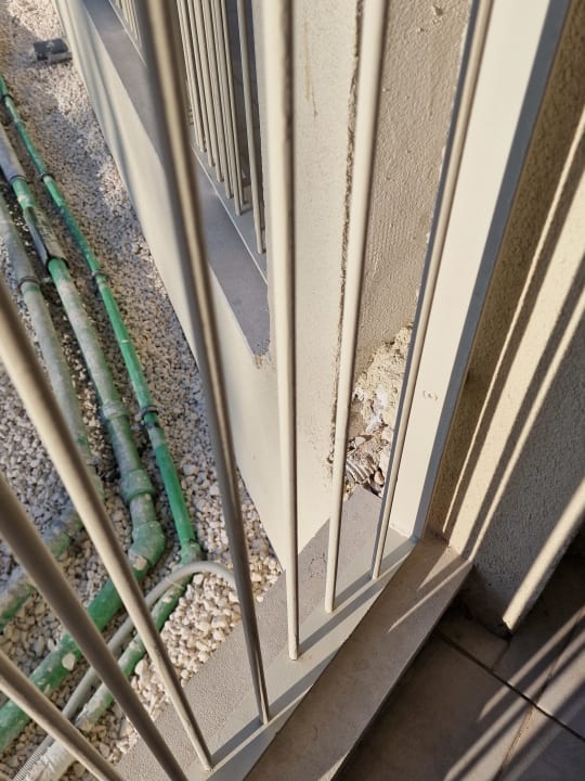 Zimmer Domes Aulūs Zante, Autograph Collection