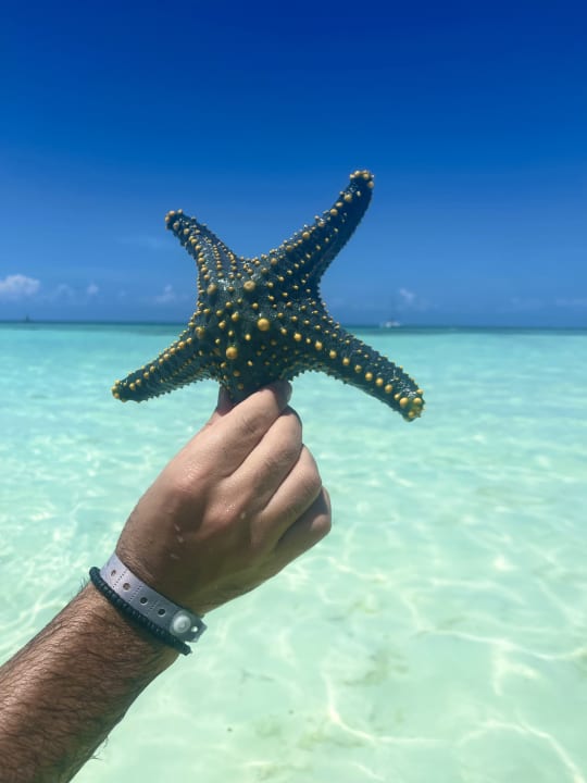 Strand Hotel Riu Palace Zanzibar