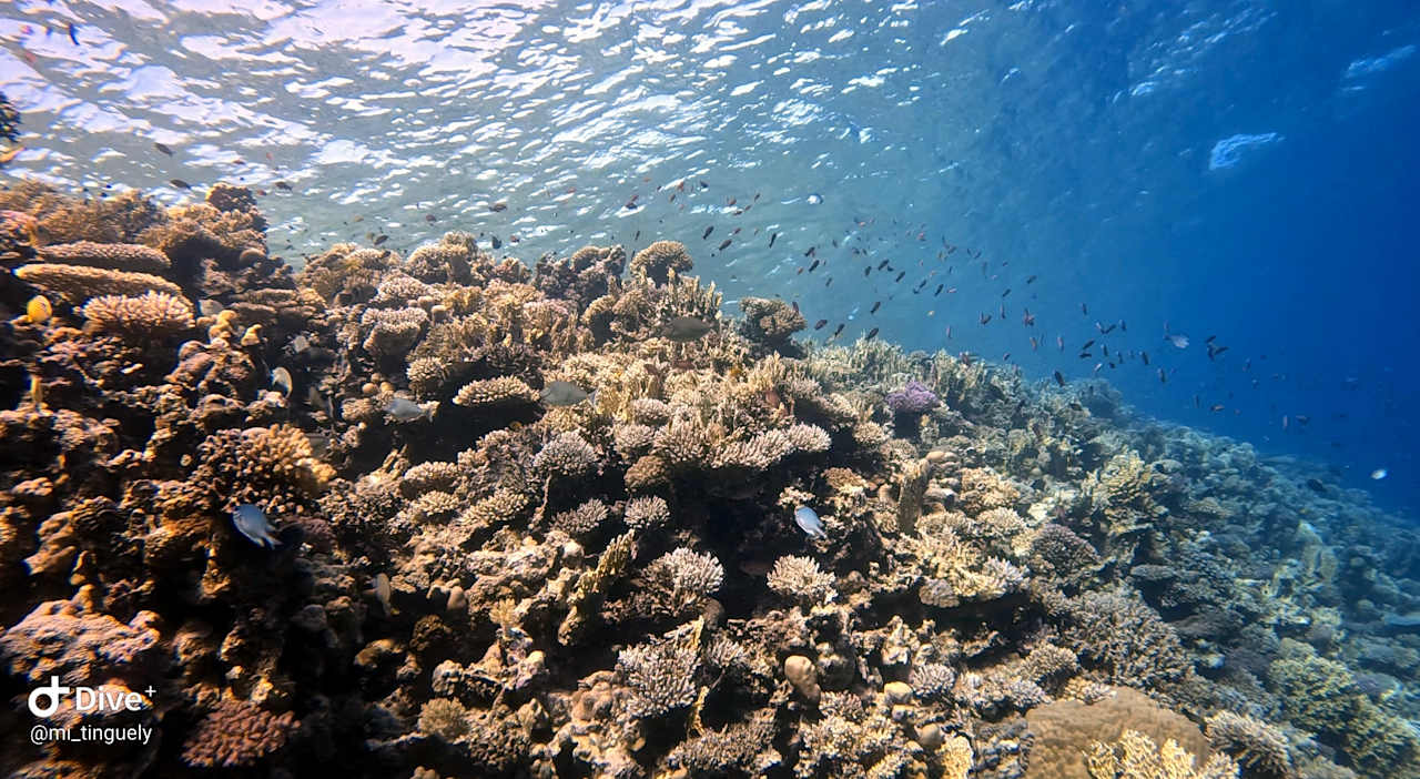 Sport & Freizeit Serenity Alma Heights