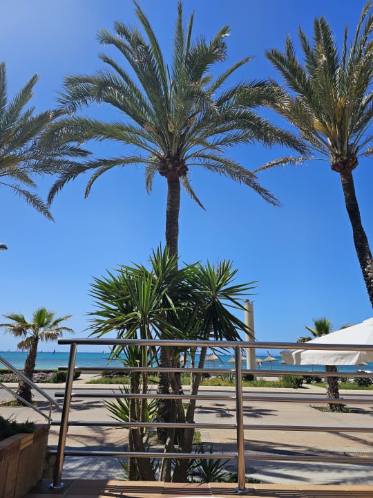 Ausblick AYA Seahotel - Adults only