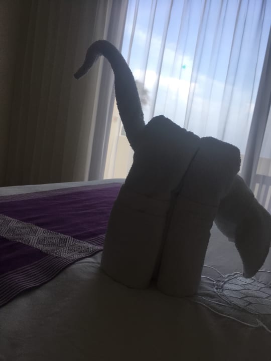 Zimmer Akumal Bay Beach & Wellness Resort