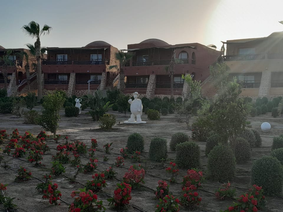 Gartenanlage Pickalbatros Vita Resort - Portofino Marsa Alam