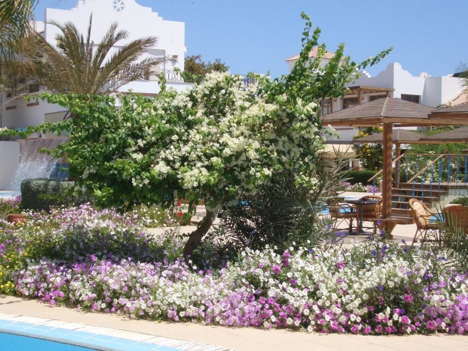 Gibt es schönere Gartenanlagen? Lahami Bay Beach Resort