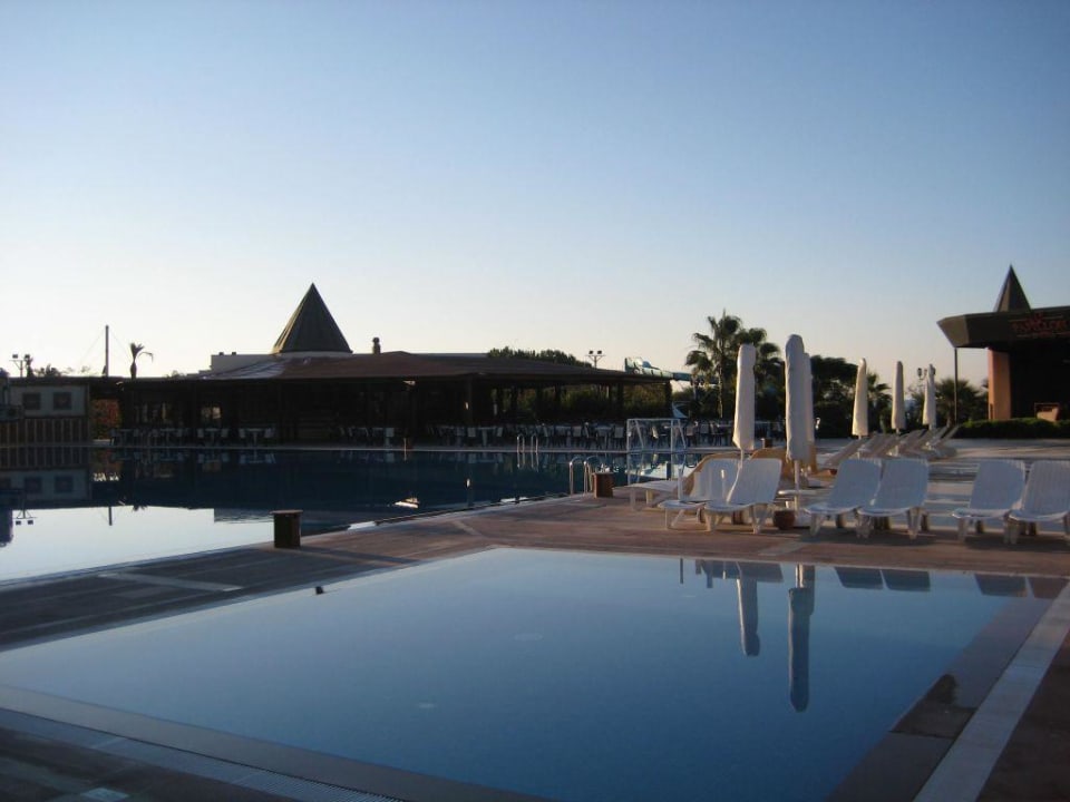 Blick auf den Pool Paloma Oceana