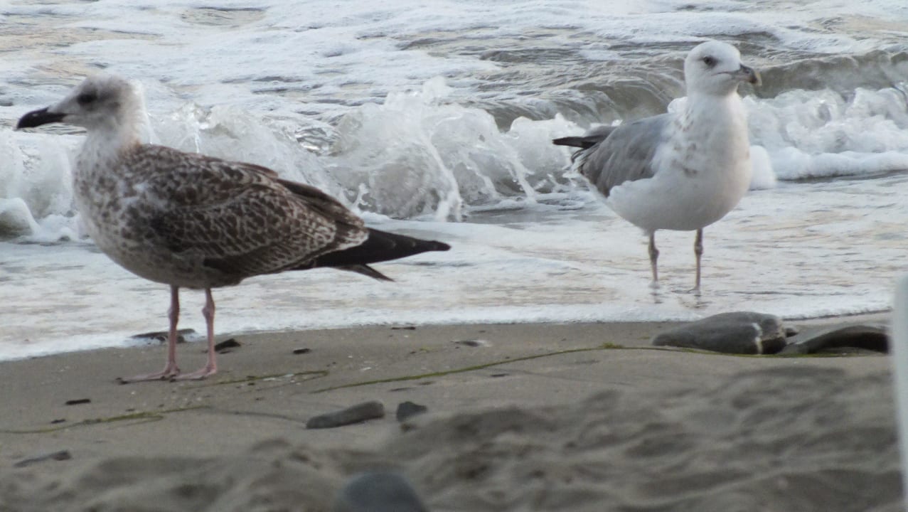Abends vor Atrium Hotel Atrium Beach