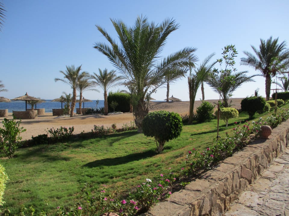 Gartenanlage Coral Sun Beach