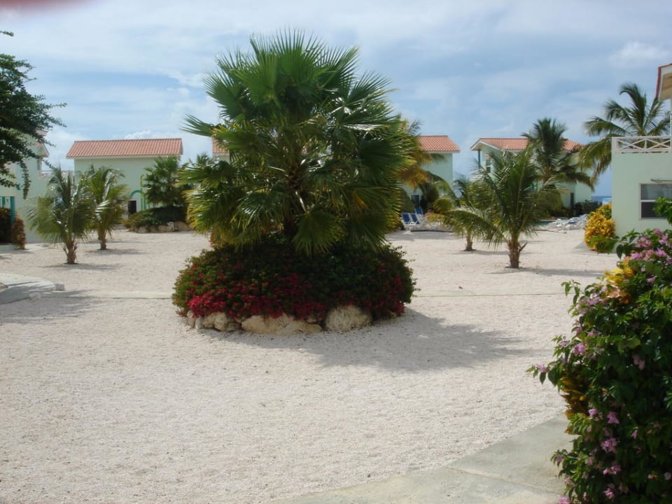 Innenbereich Lagun Blou Hotel Lagun Blou