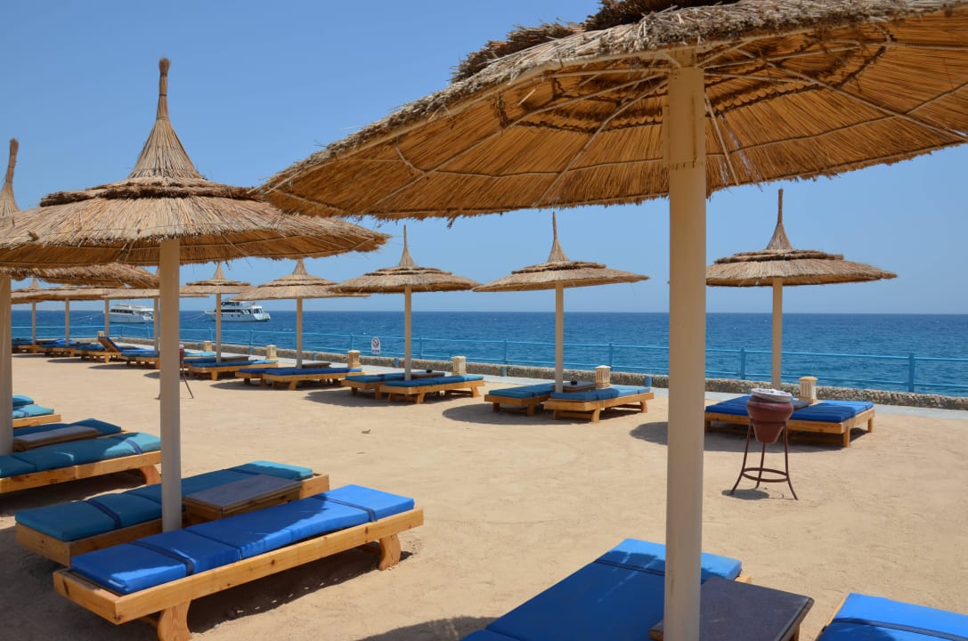 Mehr als genügend Liegemöglichkeiten Beach Albatros Resort