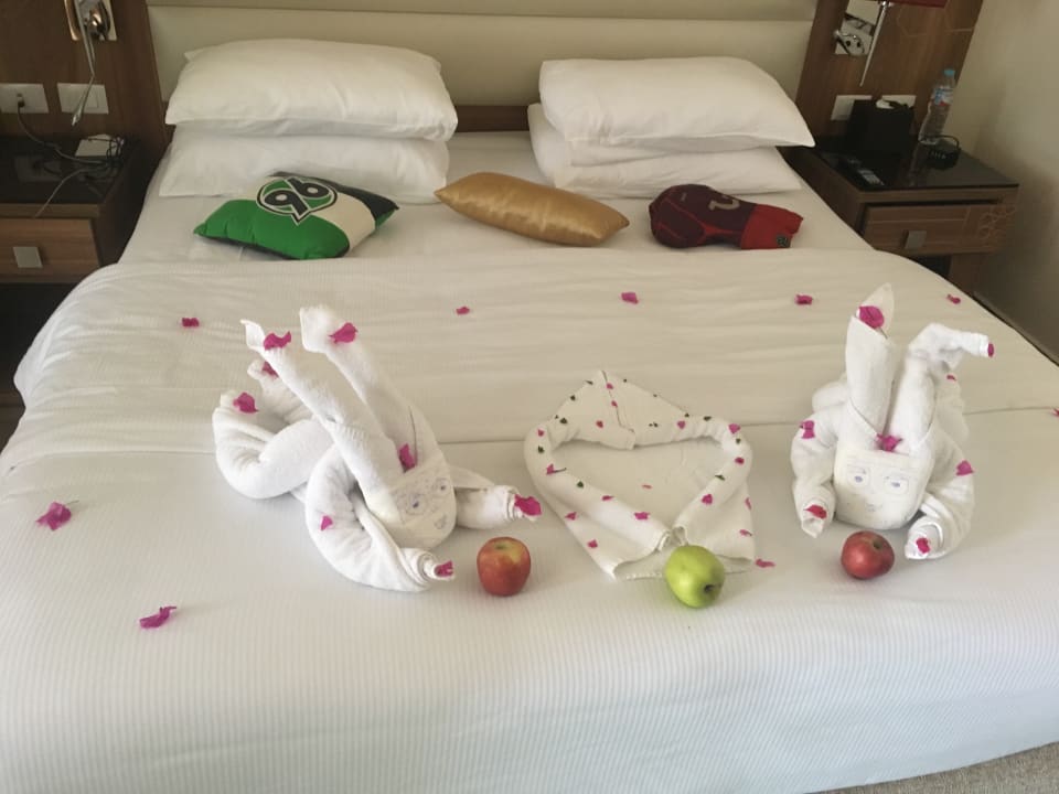 Zimmer Pickalbatros Aqua Park Resort - Sharm El Sheikh