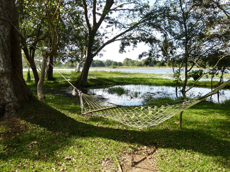 Gartenanlage Habarana Village by Cinnamon