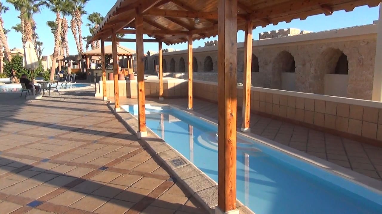 Tree Palmen Pool Pickalbatros Citadel Resort