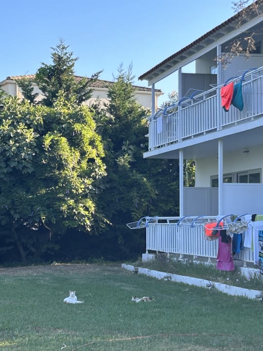 Außenansicht Nasos Hotel & Resort