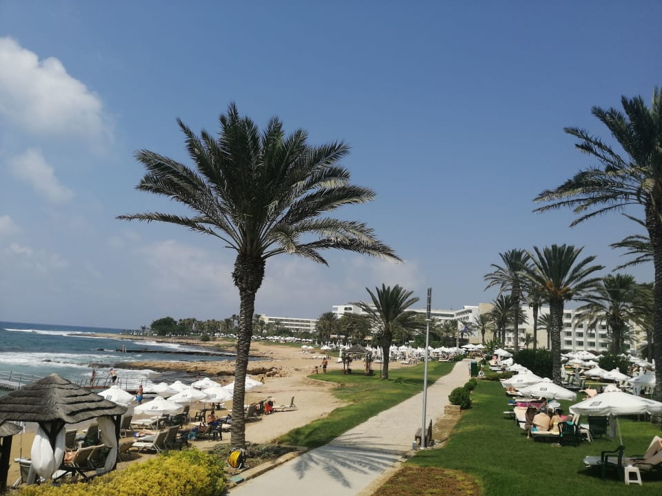 Strand Constantinou Bros Athena Beach Hotel
