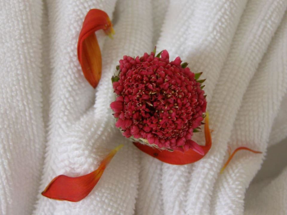 Valentinstag Grand Seker Hotel