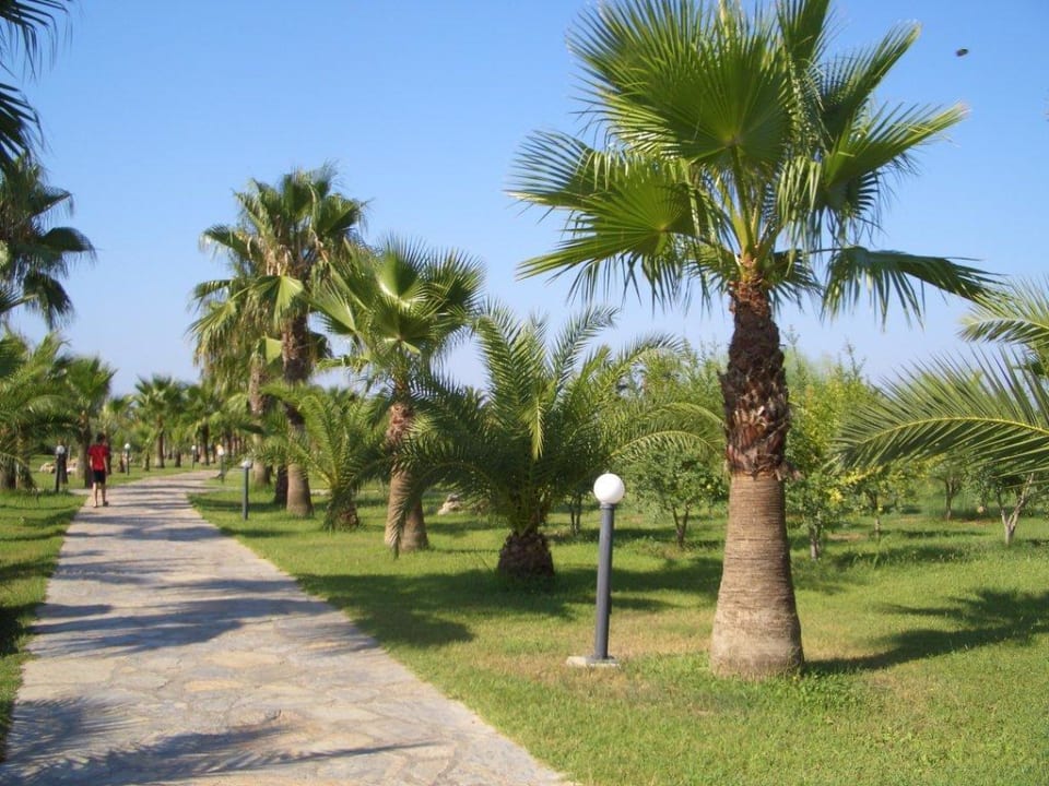 Weg zum Strand Club Grand Side