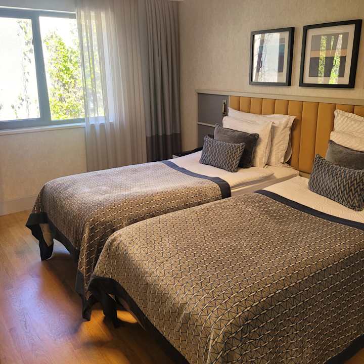 Zimmer Arum Barut Collection