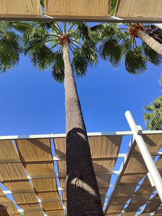 Gartenanlage Barut B Suites