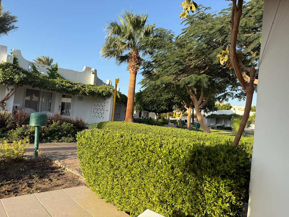 Gartenanlage Shams Safaga Resort
