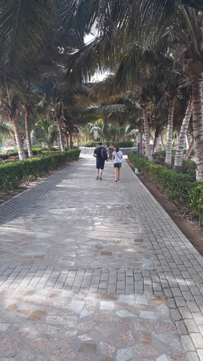 Gartenanlage Hotel Riu Cabo Verde