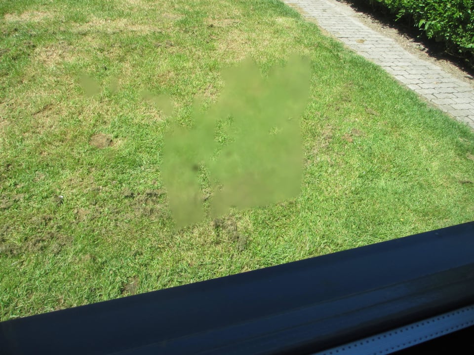 Kleber am fenster Center Parcs Park De Haan