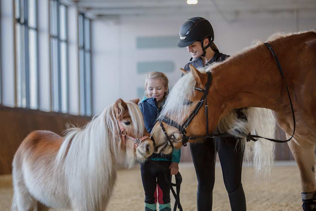 Sport & Freizeit Ellmauhof - das Generationenresort