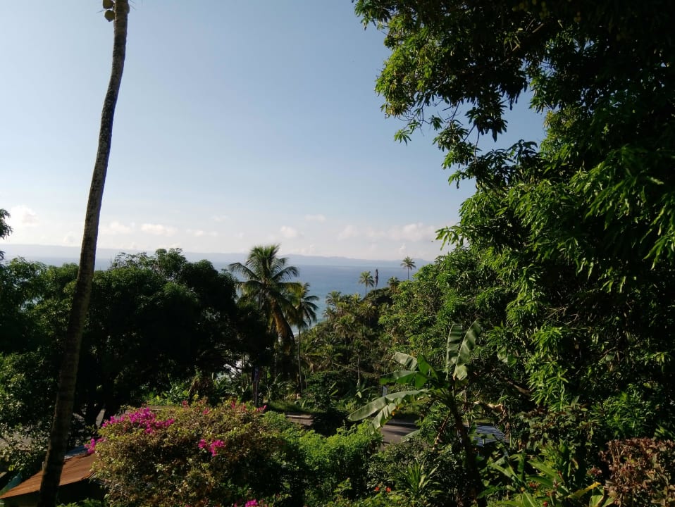 Ausblick Ozeanic Caribbean Hotel Apartment
