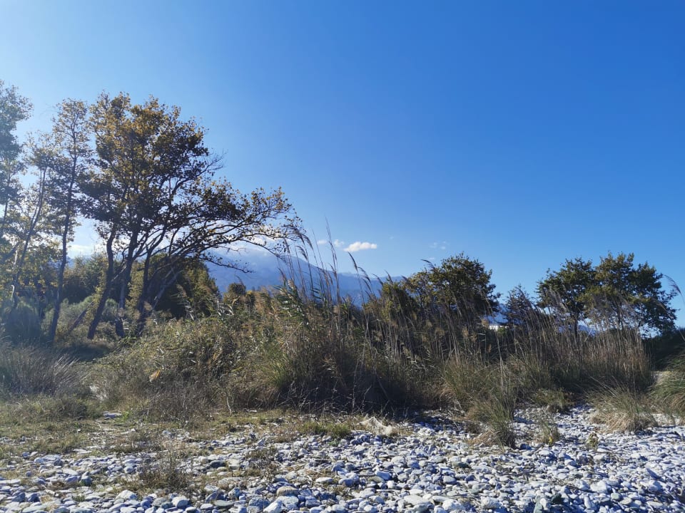 Strand alltoura Club Hotel Poseidon Palace