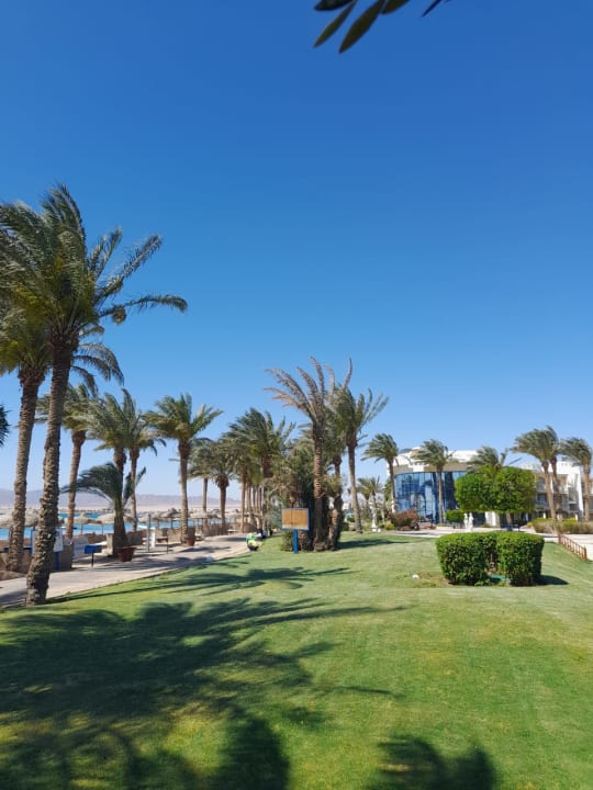 Ausblick Palm Royale Resort - Soma Bay