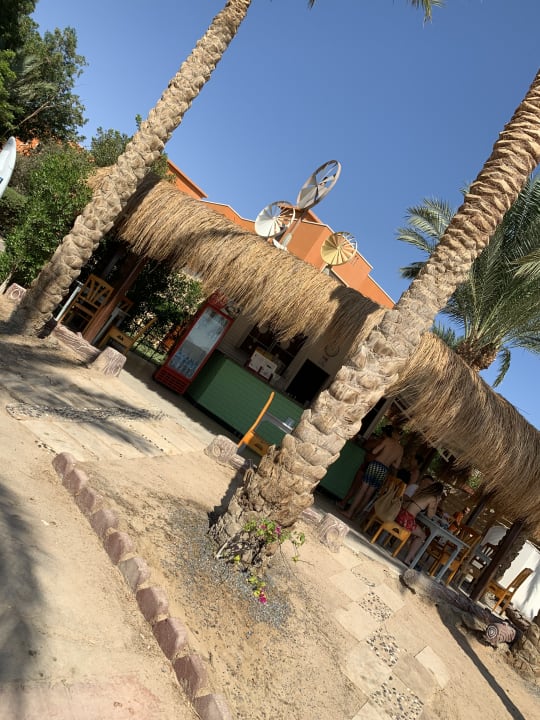 Gastro Sentido Caribbean World Soma Bay
