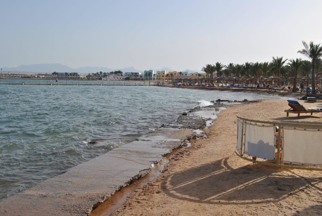 Der ganze Strand Beton Pickalbatros Palace Resort