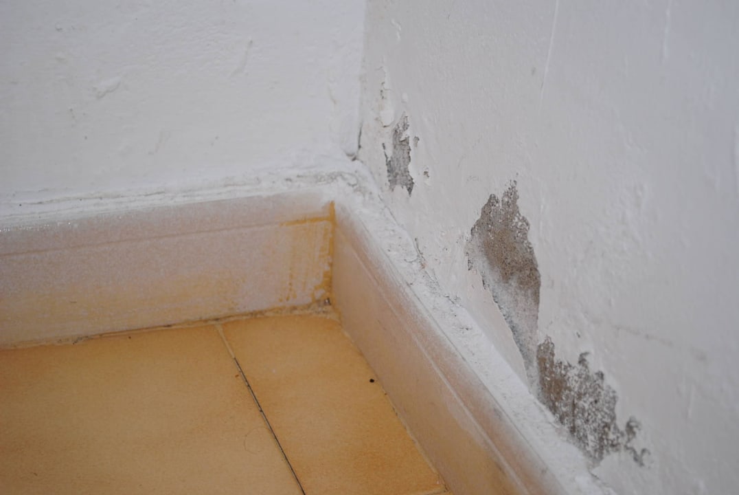 Boden  Relaxia Olivina