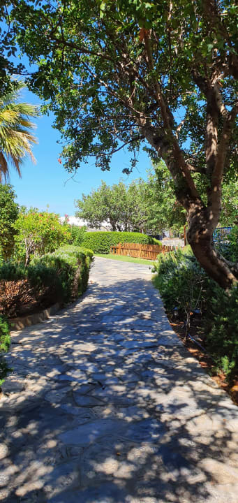 Gartenanlage Elounda Beach Hotel & Villas