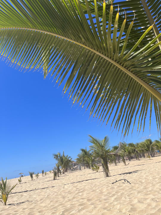 Strand Hotel Riu Touareg