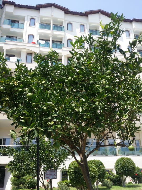 Schön  Bella Resort & Spa