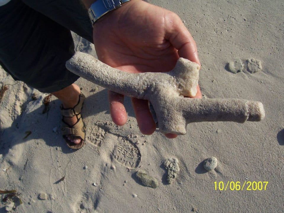 Sand, Korallen, Muscheln Akumal Bay Beach & Wellness Resort