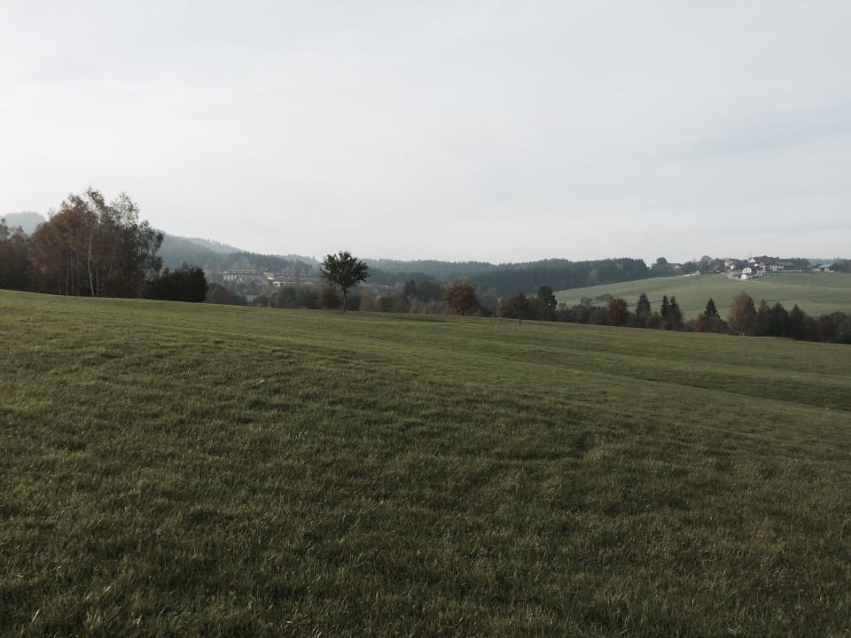 Wiesen im Oktober  Aldiana Club Ampflwang