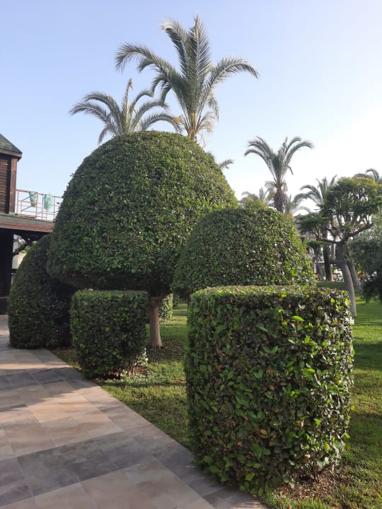 Gartenanlage Sunis Kumköy Beach Resort Hotel & Spa