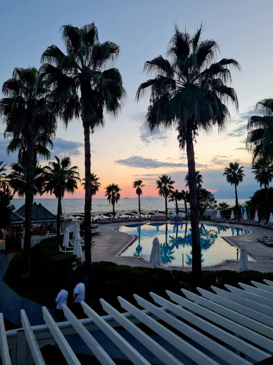 Ausblick Papillon Belvil