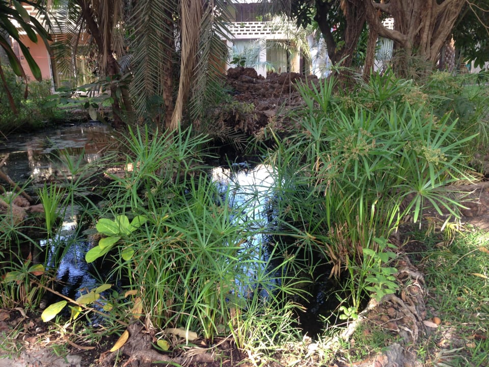 Gartenanlage Hotel Senegambia Beach