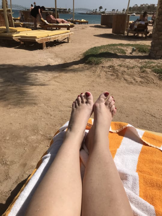 Strand sauber  Desert Rose